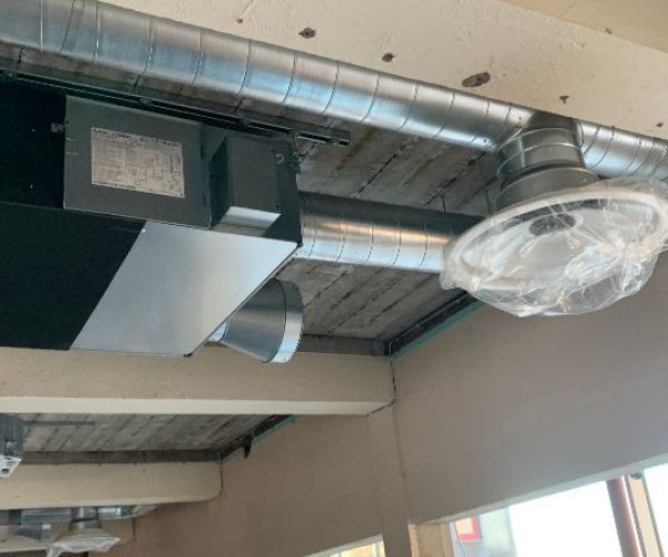 IMG_3958.jpeg